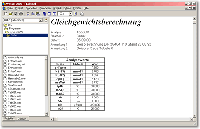 Screenshot Gleichgewichtsberechnung/Datei-Explorer